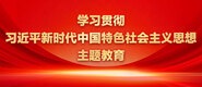 欧美黑大吊操学习贯彻习近平新时代中国特色社会主义思想主题教育_fororder_ad-371X160(2)